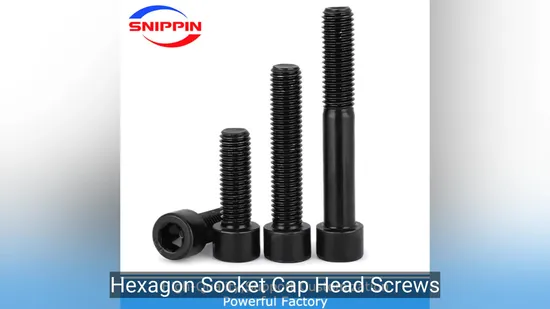 Lengthened Black Hex Socket Cap Screw Bolt for Various Applications