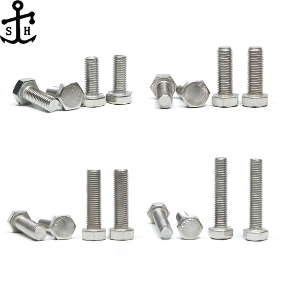 Stainless Steel Bolts/Hexagon Bolt and Nuts/Socket Bolt/Extra Long Bolt/U Bolt/Hex Flange Bolt/Allen Bolt /Carriage Bolt/Stud Bolts DIN933/DIN931/DIN6921/DIN912 
